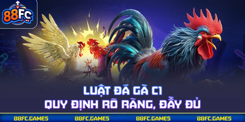 Luật đá gà C1 quy định rõ ràng, đầy đủ
